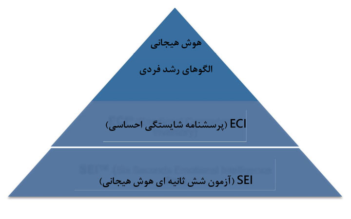 الگوهای رشد فردی