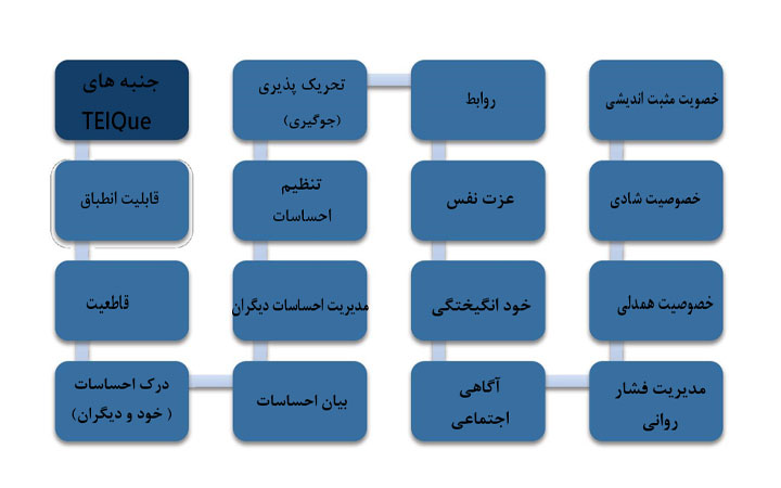 جنبه هایTEIQue